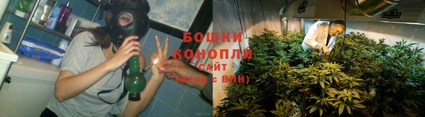стаф Козельск