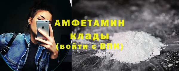 гидра Богданович