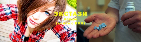 гидра Богородск