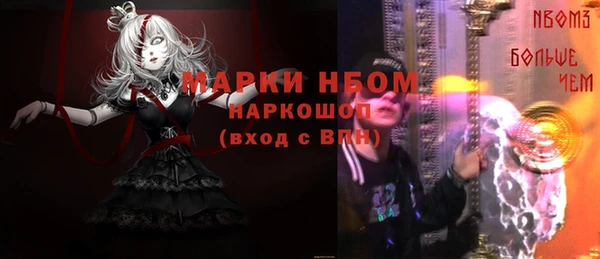 гидра Богданович