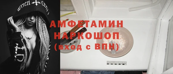 гидра Богородск