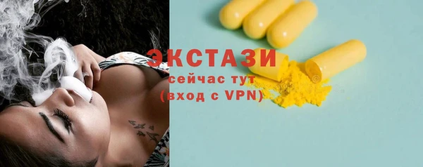 гидра Богородск