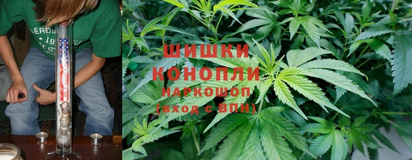 гидра Богданович