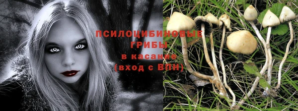 метамфетамин Богородицк