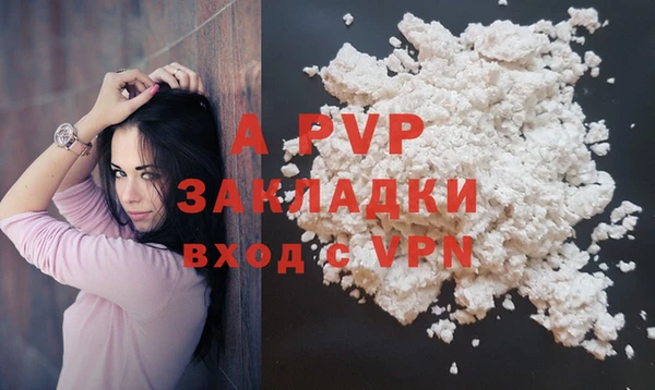 гидра Богданович