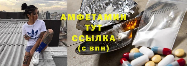 гидра Богданович