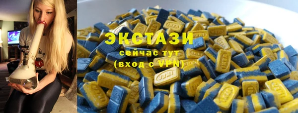 гидра Богородск