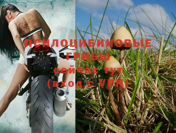 метамфетамин Богородицк