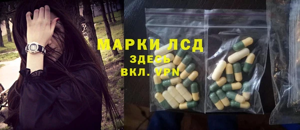 гидра Богданович