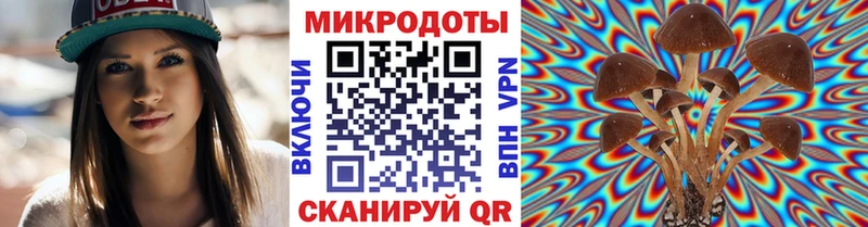 Псилоцибиновые грибы прущие грибы  Буйнакск 
