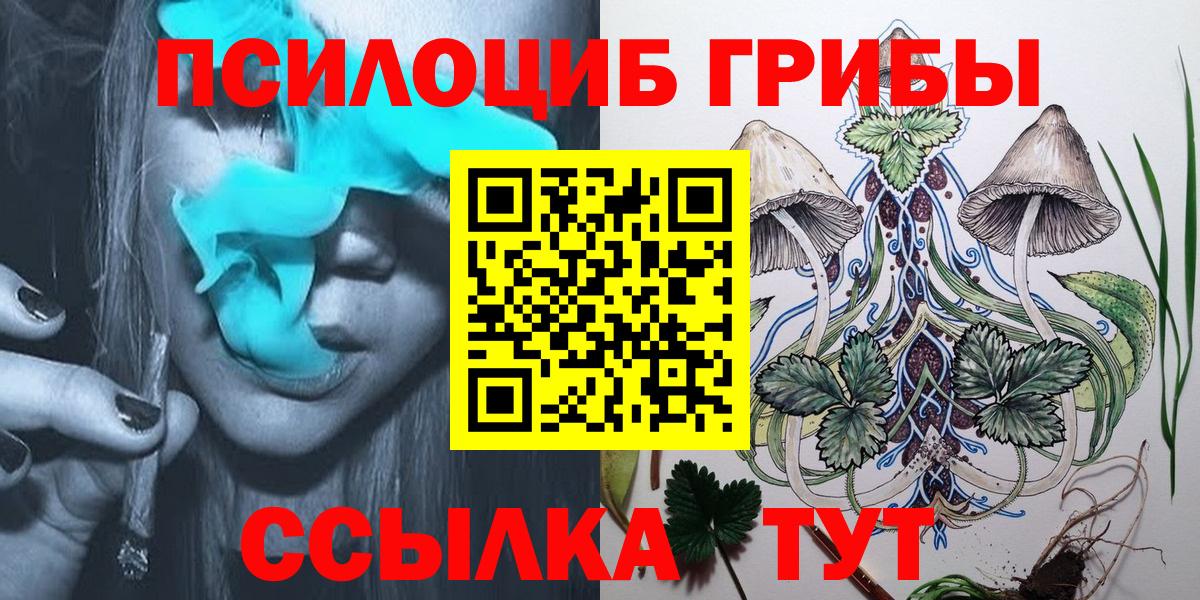 Галлюциногенные грибы GOLDEN TEACHER  Галлюциногенные грибы Psilocybe  Буйнакск  Вход с VPN 