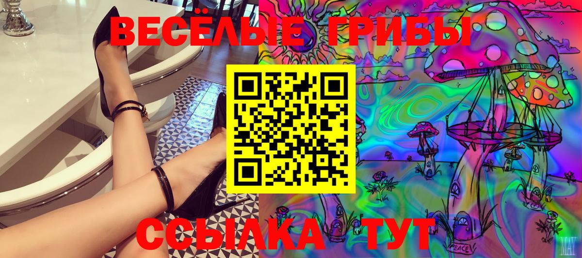 Псилоцибиновые грибы Cubensis  Буйнакск  Псилоцибиновые грибы ЛСД 