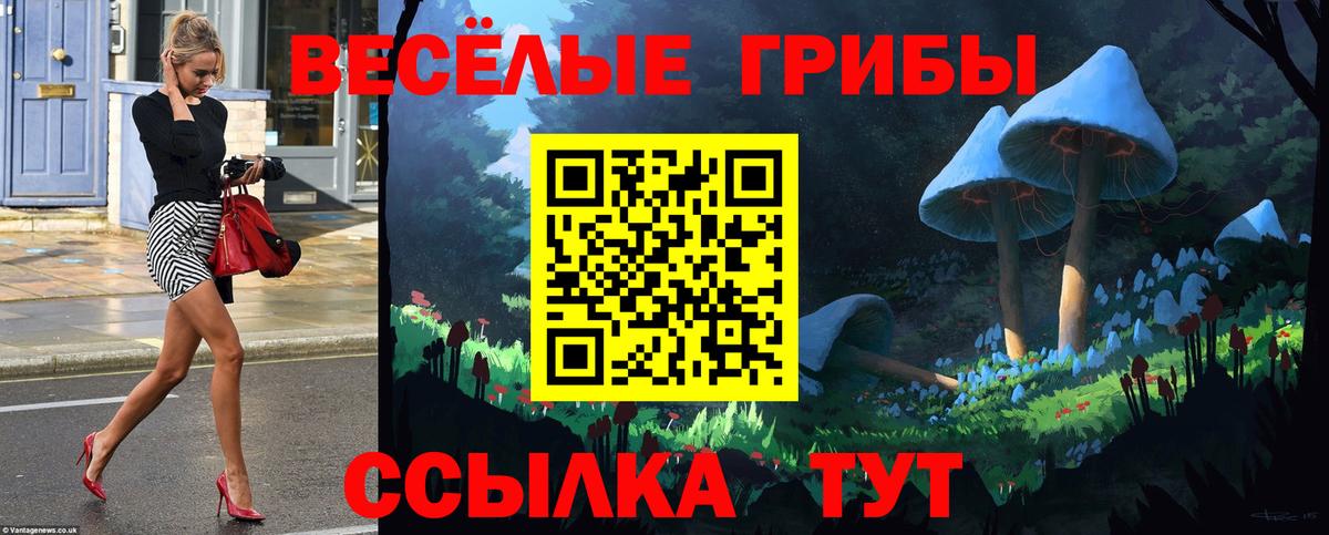 Галлюциногенные грибы прущие грибы Буйнакск